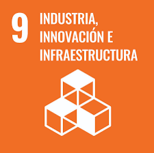 INDUSTRIA, INNOVACIÒN E INFRAESTRUCTURA